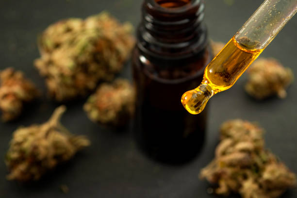 High-Quality CBD Oil in Canada: What You Need to Know