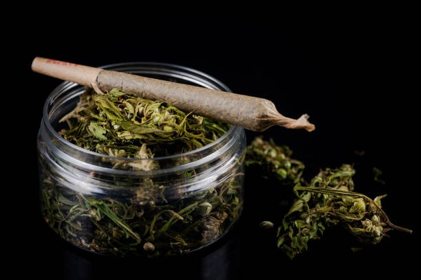 Choose an Online Smoke Shop for Quality Products and Expert Resources